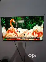 LG LED TV 43 4k UHD Dolby version