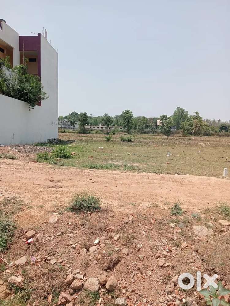 Cell my property in shahdol