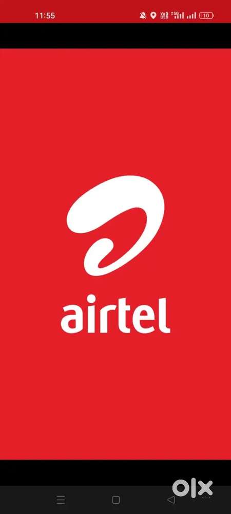 Sales Executive