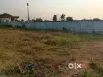Sales cuddalore
