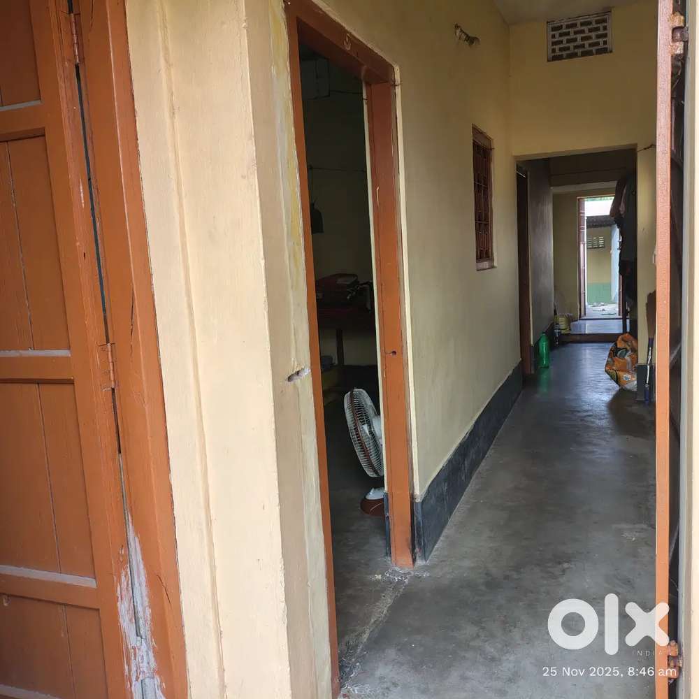 We need a girl roommate, only for students