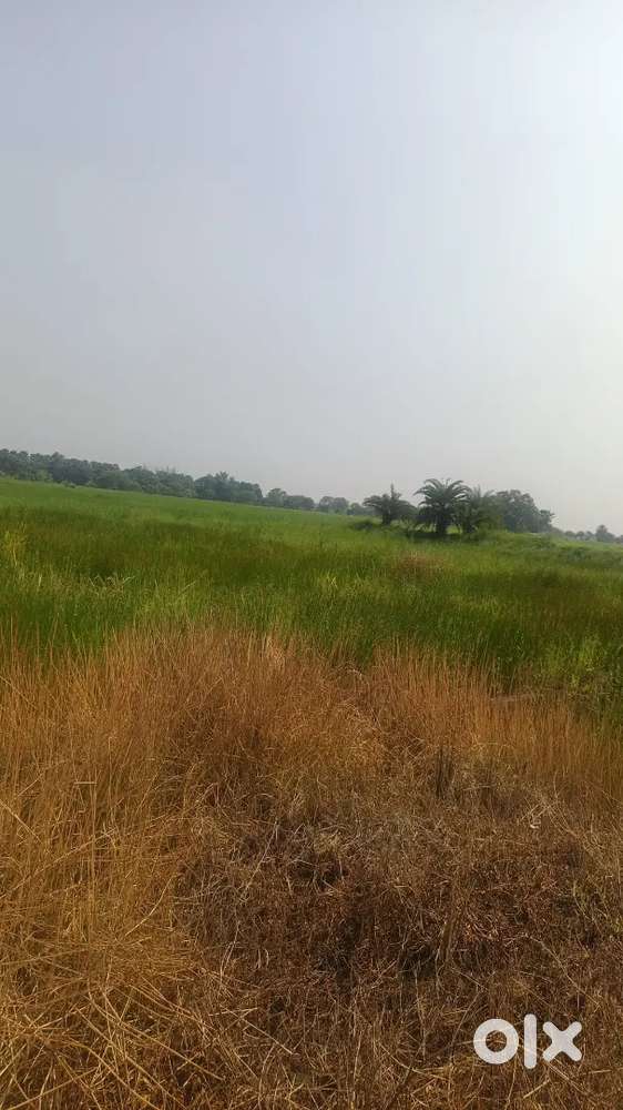 Owning Land near Kolkata Sonarpur Free. Buy Land & Get Bonus
