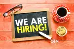 Front office executive or customer support executive