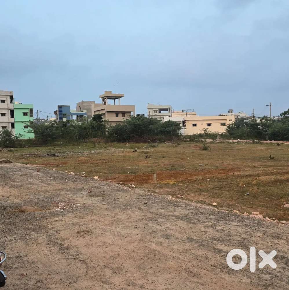 West Facing lands for sale.