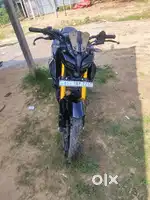 MT-15  7 months Old only