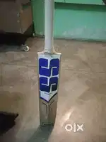 Best kashmir willow bat under low price