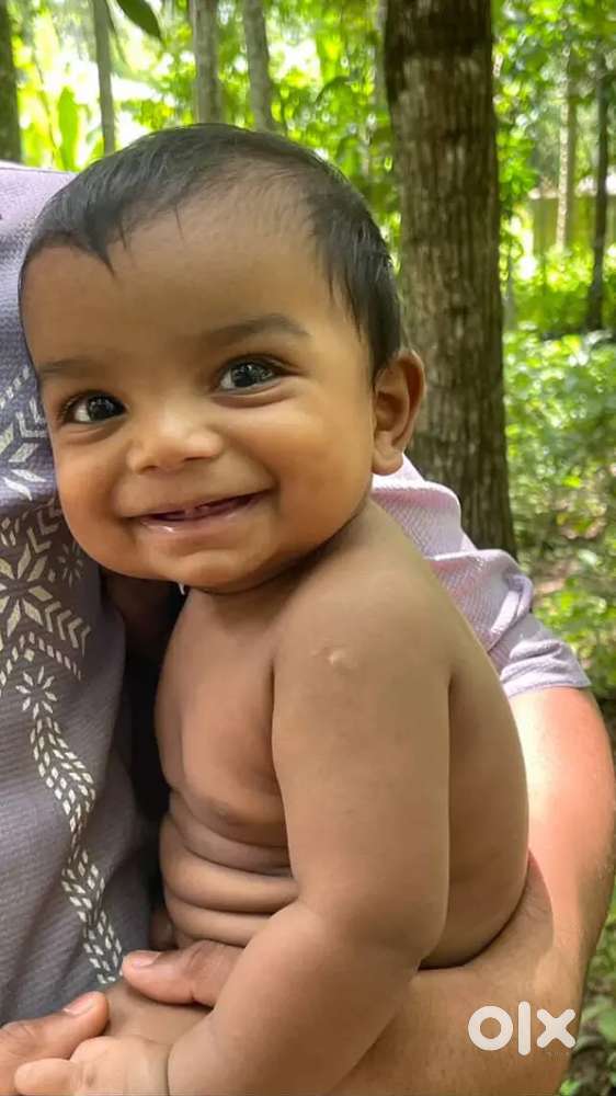 Economics, business studies, accounting