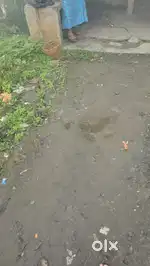 Meenangadi kallupadi road