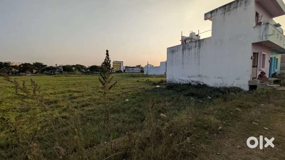 Sale urgent only st cast gharbari pata available