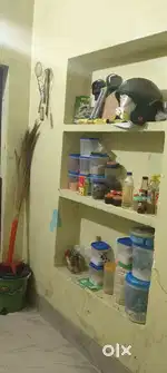 Need a girl roommates