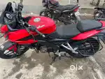 My new bike family adjust 10 11 2015
