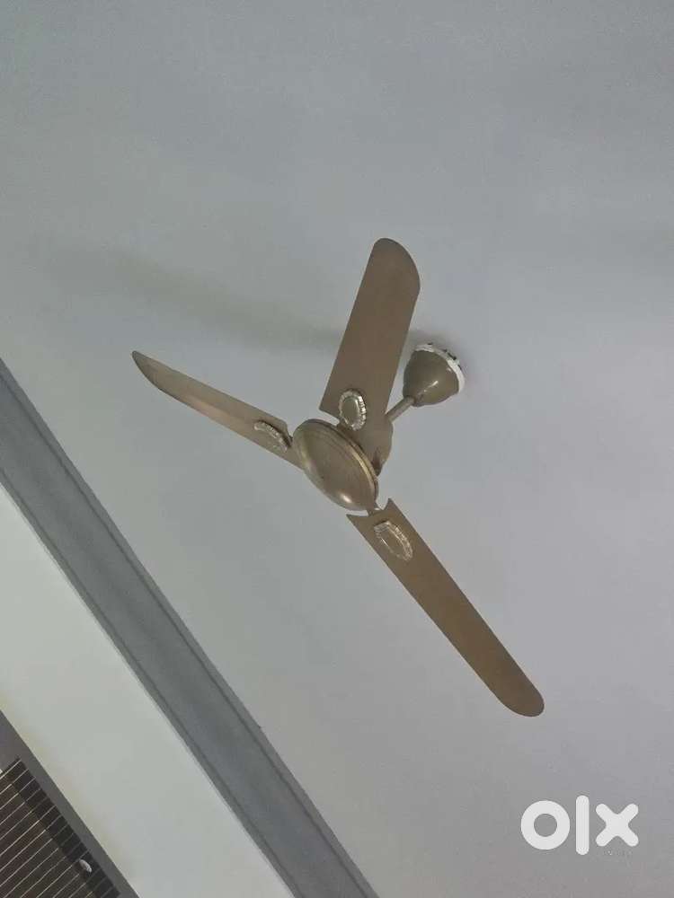 Usha ceiling fans