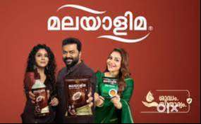 Territory Sales Manager