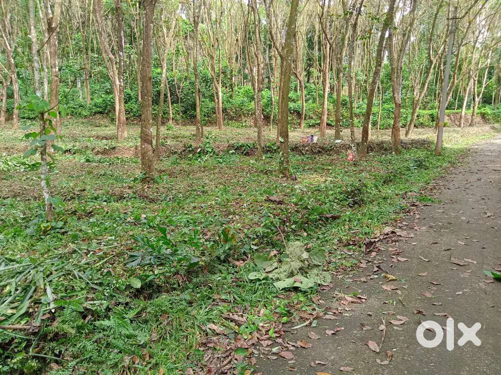 Land for sale.. 1Acre 35 Cent.. Single plot