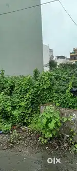 Nipania indore