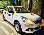 Driver for Pet Taxi Service