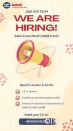 SALES EXCUTIVE