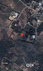 239036 yd. Plot for sell at ognaj