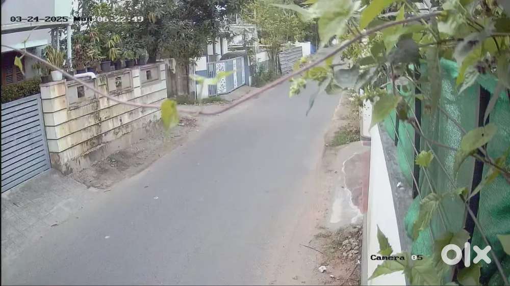 Original land 9 cent 2 nd plot MLA road Panagad 1.5 km from NH kufos