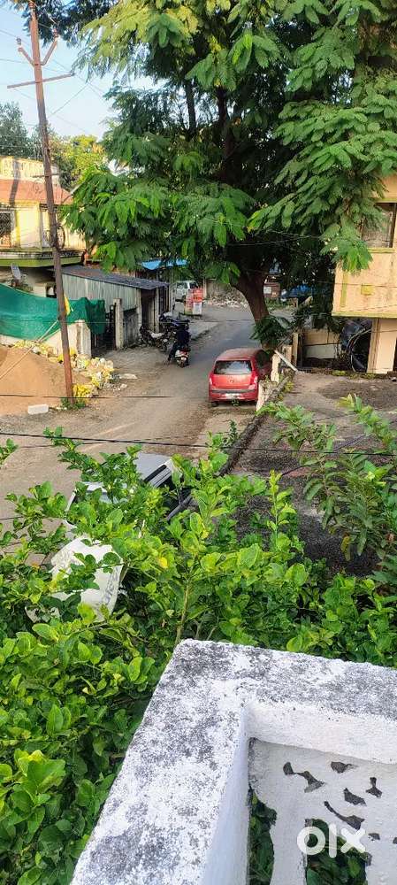 Jafar nagar nagpur near eidgha ground