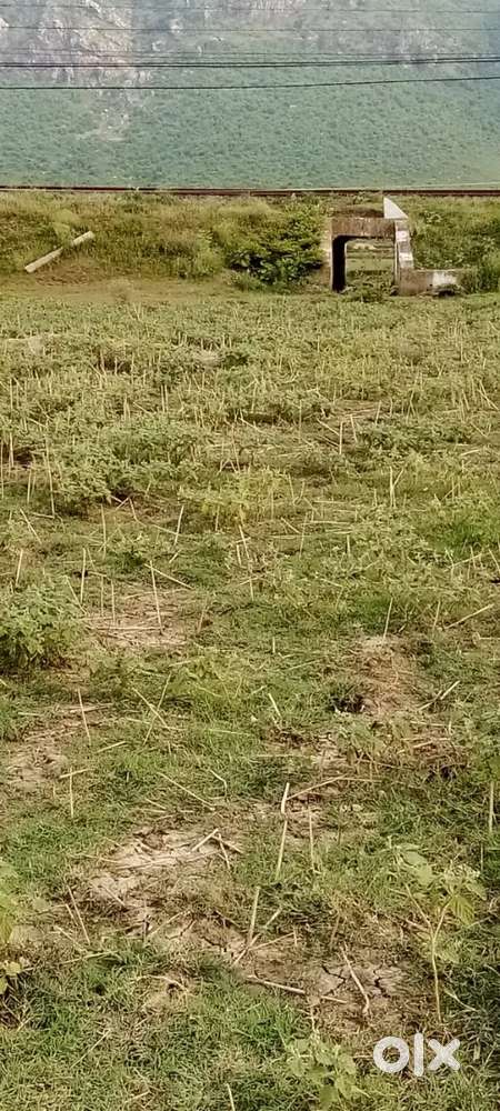 6 kattha land at mahadevpur rajgir