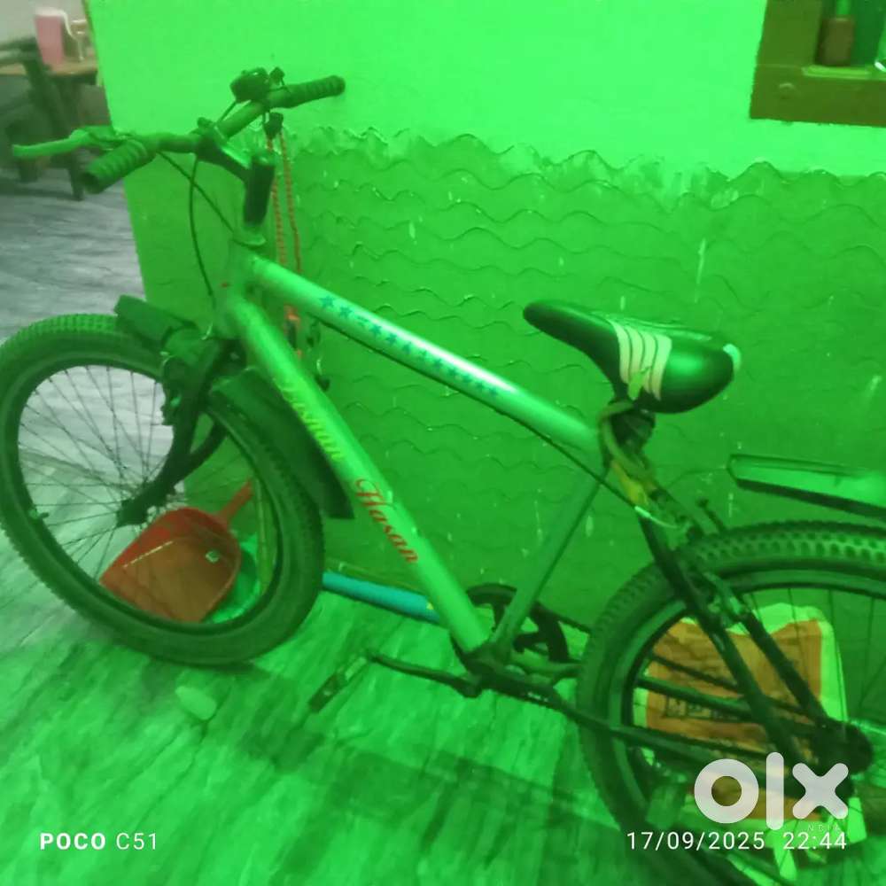 Sunbird bicycle