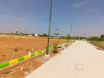 we are selling plots