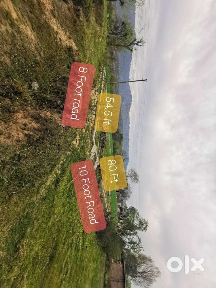 16 marla plot opposite bhim singh college no on paper road