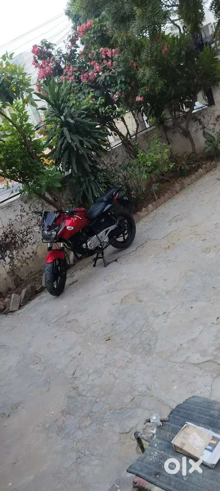 Dual Color Limited Edition Pulsar 180