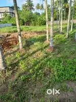 Site for sale