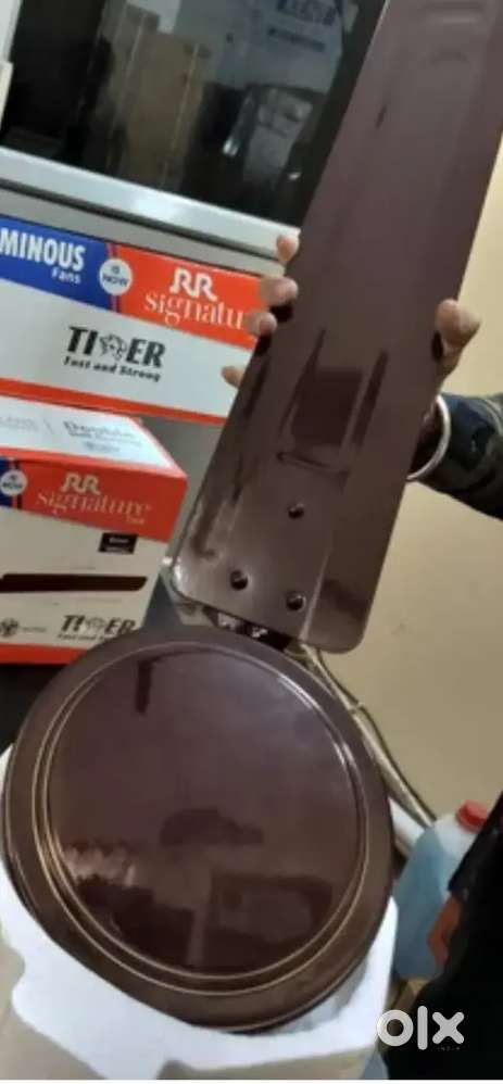 Rr signature fan