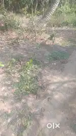 Super premium Plotted Land available for sale in AMTALA