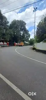 Nedumbassery near airport road 15 cent land for sale immediately