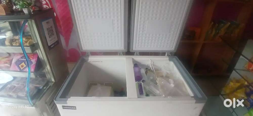 Stellar Double Door Deep Freezer with Bill