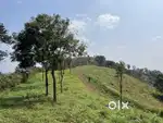 6.5 ACRE RESORT LAND WITH SCENIC VIEWS AT MAKKIYAD