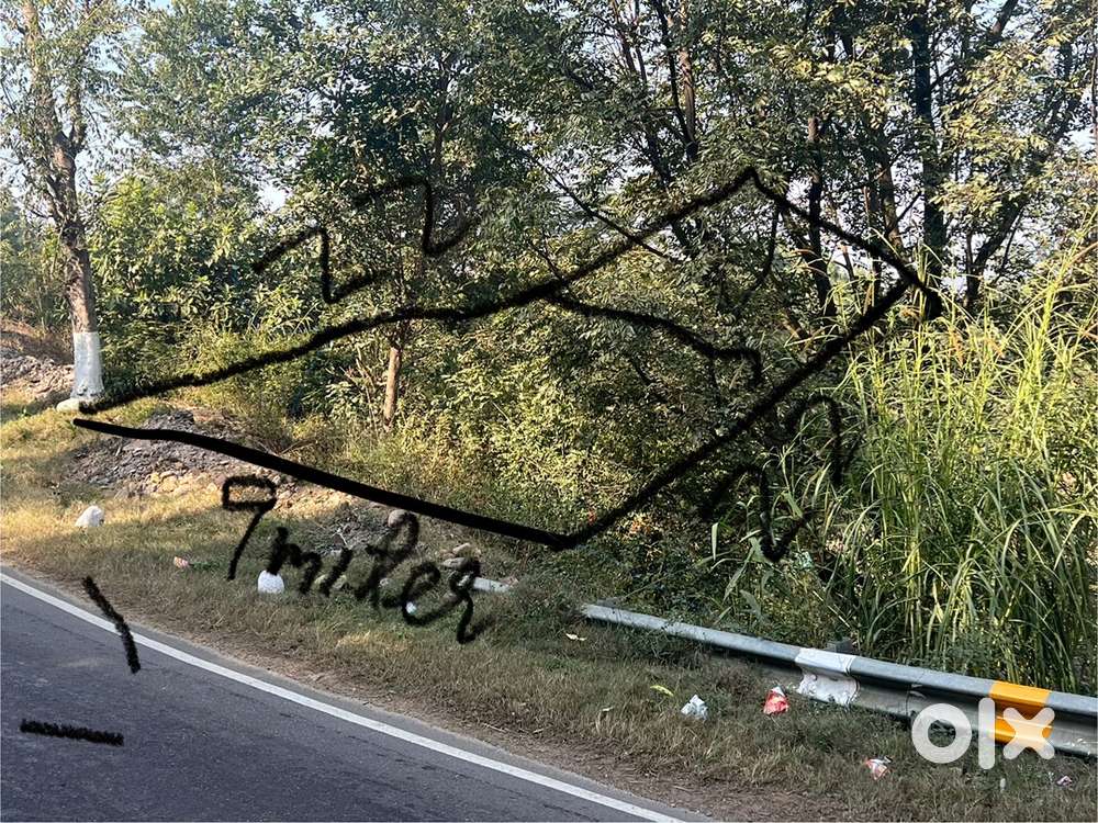 Plote for sale 10 marle near radhaswami satsang ghar mundi thural