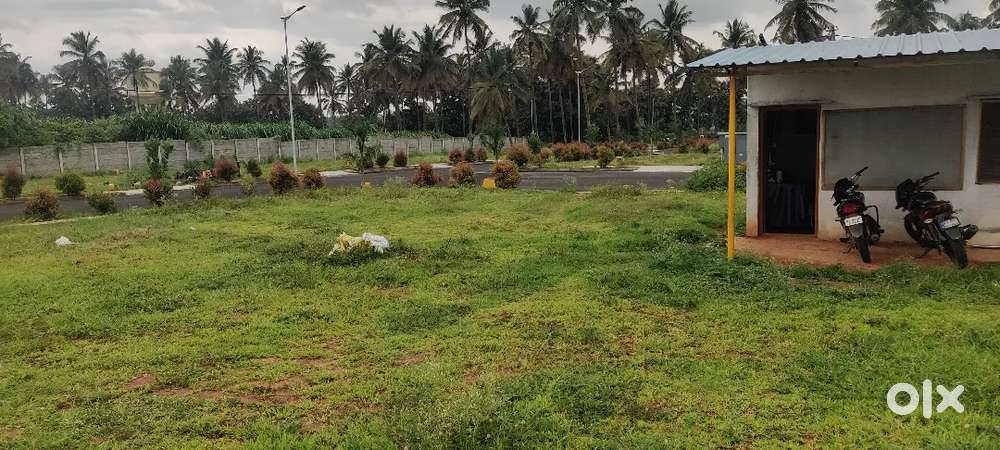 Site for sale