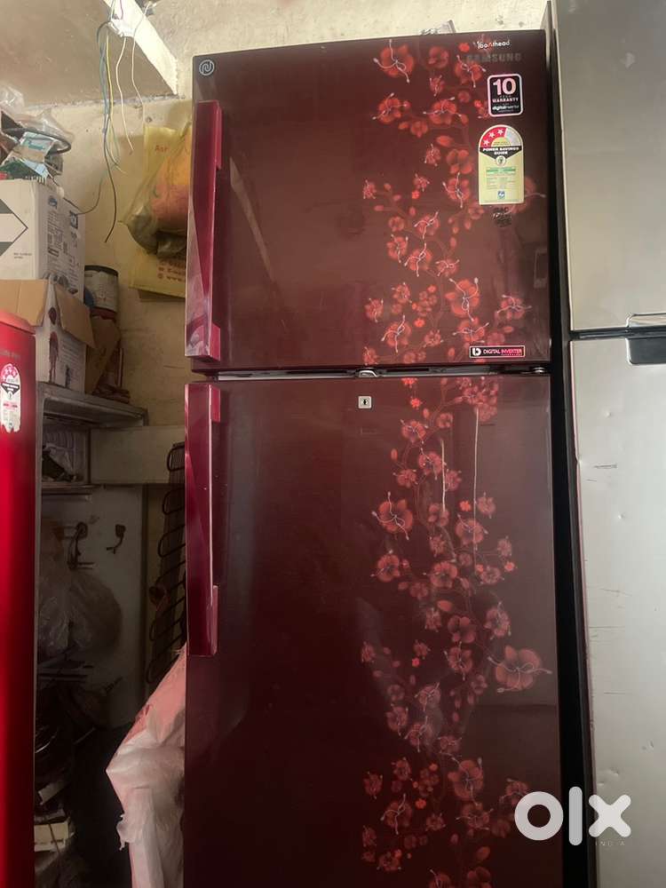 Samsung door fridge