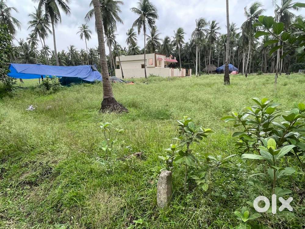 good location with close to road