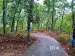 7 Acres Rubber Plantation- House & Road Access 10km from Mundakayam