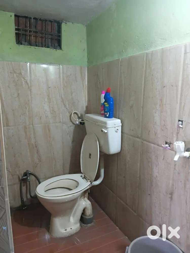 1 rs room Looking for female roommates only vegetarian girl allowed