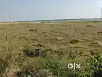 6 decimal plot for sale near RDJM hospital turki chhajan road