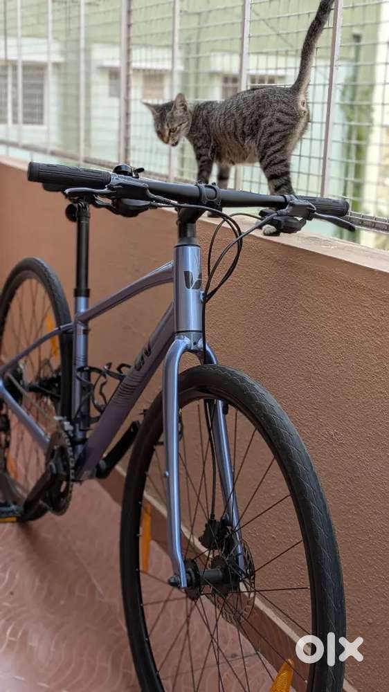 Giant Alight 2 Disc - Hybrid Bike - Size S