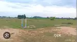 Farm House Villah in Ooty & Vedanthangal-Sale