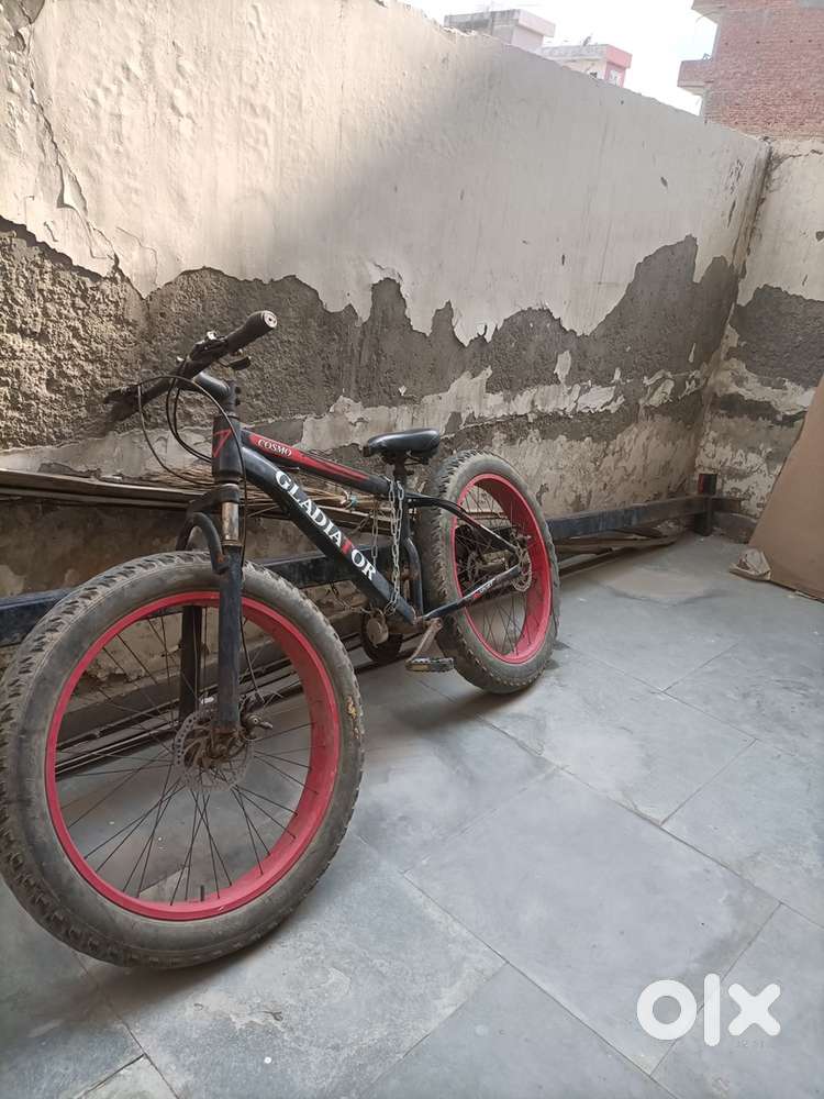 Fat Bike cycle