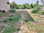 Vadsar gaam