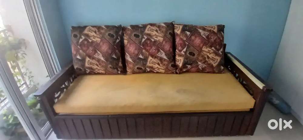 Sofa cum bed with mattress and pillows