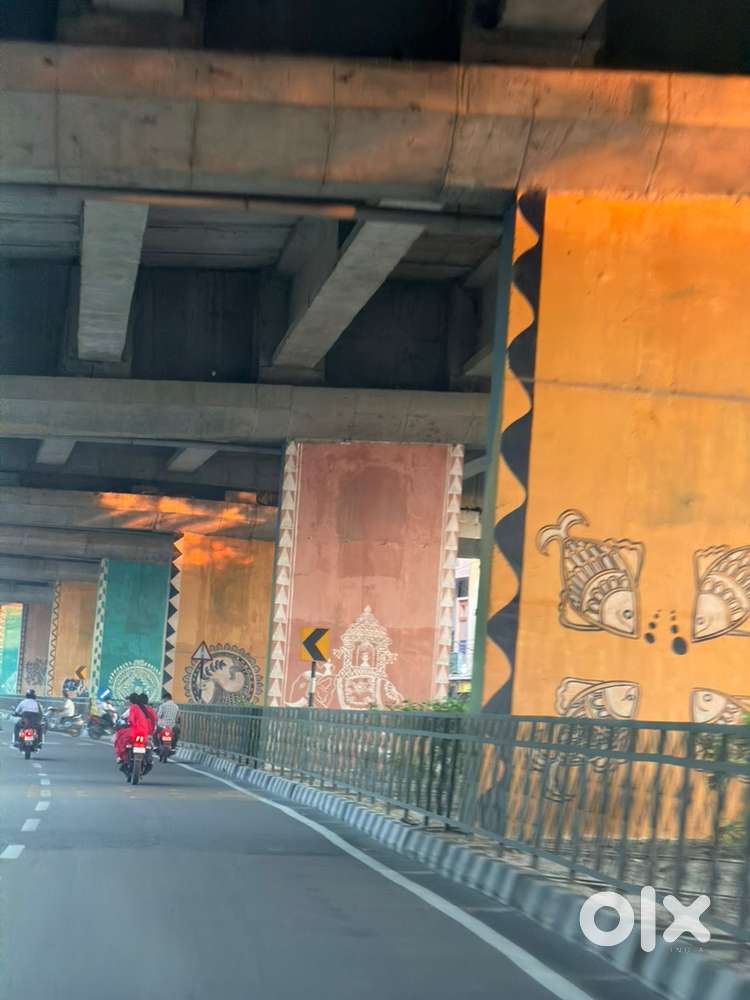 Free Photography Assistance (Canon R6 Mark II)