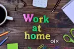 LOOKING FOR FRESHER