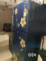 Samsung Double door fridge